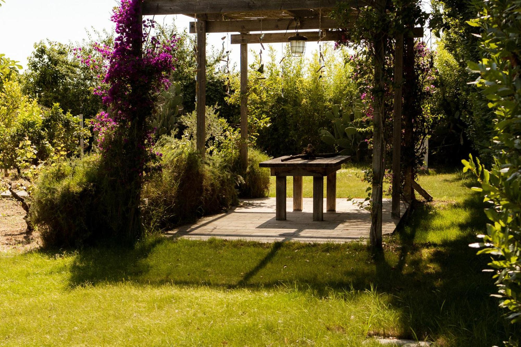 Casale Alle Vigne